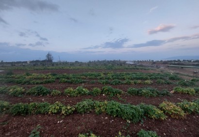 Latsi, Polis Działka mieszkalna Na sprzedaż | B9668
