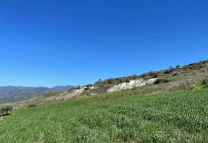 Fyti, Polis Działka rolna Na sprzedaż | C8513