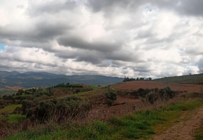 Simou, Polis Działka rolna Na sprzedaż | C8520