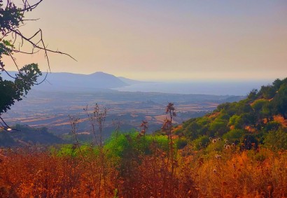 Peristerona Pafou Działka mieszkalna Na sprzedaż | BK9045